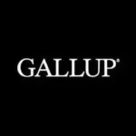 Legal Internship at Gallup